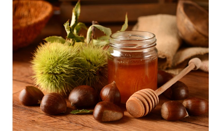 Miel de châtaignier